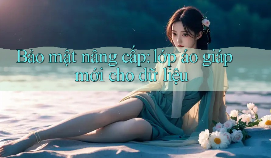 Bảo mật nâng cấp: lớp áo giáp mới cho dữ liệu Bảo mật nâng cấp: lớp áo giáp mới cho dữ liệu