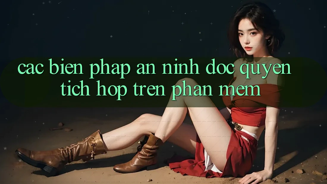 Các Biện Pháp An ninh Độc Quyền Tích Hợp Trên Phần mềm Các Biện Pháp An ninh Độc Quyền Tích Hợp Trên Phần mềm