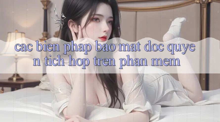 Các Biện Pháp Bảo Mật Độc Quyền Tích Hợp Trên Phần mềm