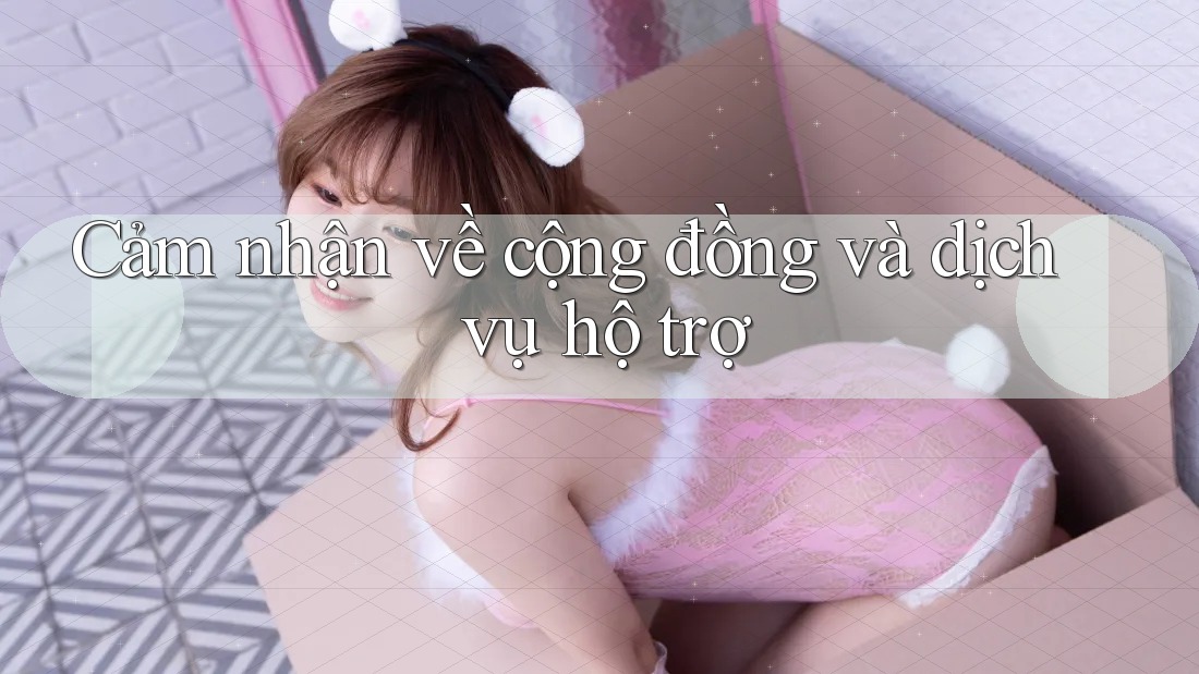 Cảm Nhận Về Cộng Đồng Và Dịch Vụ Hỗ Trợ Cảm Nhận Về Cộng Đồng Và Dịch Vụ Hỗ Trợ