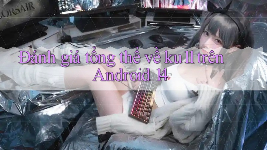 Đánh giá tổng thể về ku11 trên Android 14 Đánh giá tổng thể về ku11 trên Android 14