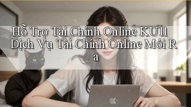 hỗ trợ tài chính online ku11 dịch vụ tài chính online mới ra