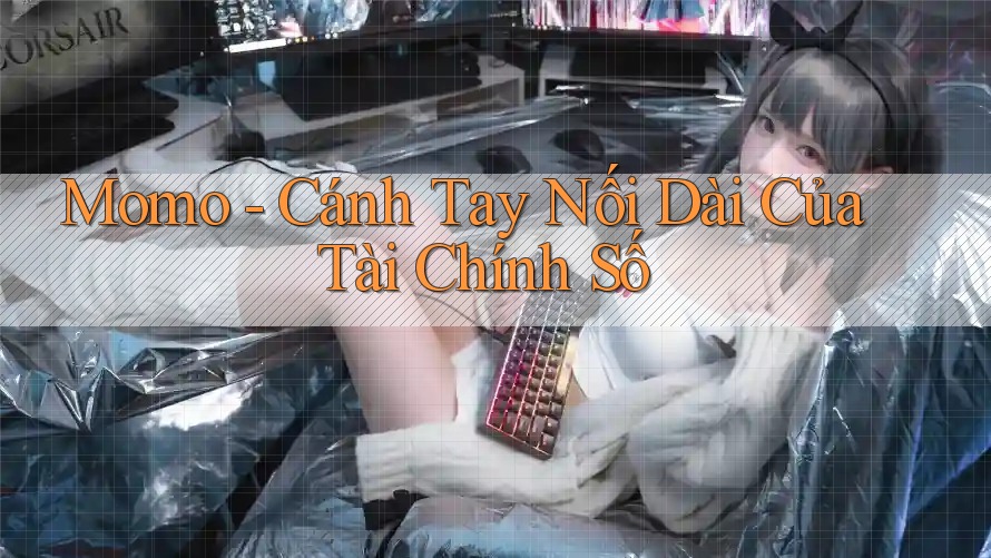 Momo - Cánh Tay Nối Dài Của Tài Chính Số Momo - Cánh Tay Nối Dài Của Tài Chính Số