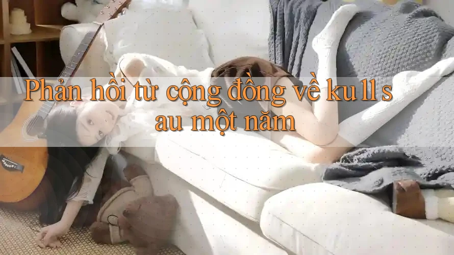 Phản hồi từ cộng đồng về ku11 sau một năm