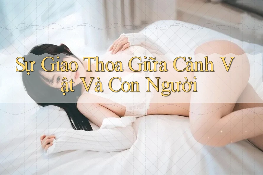 Sự Giao Thoa Giữa Cảnh Vật Và Con Người