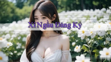Xí ngầu Đăng ký
